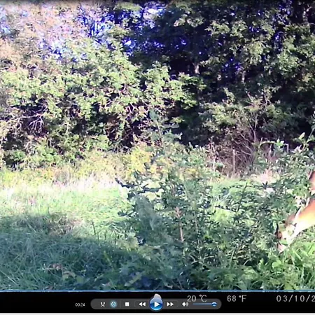 Dimora Gentile بيت ضيافة 3*