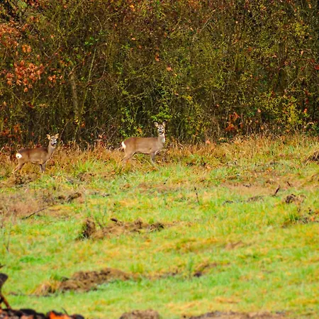 Dimora Gentile Gæstehus