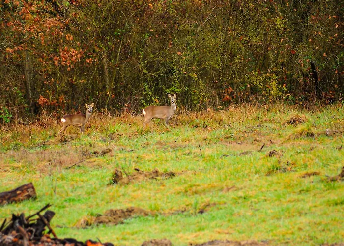 Dimora Gentile Guest house