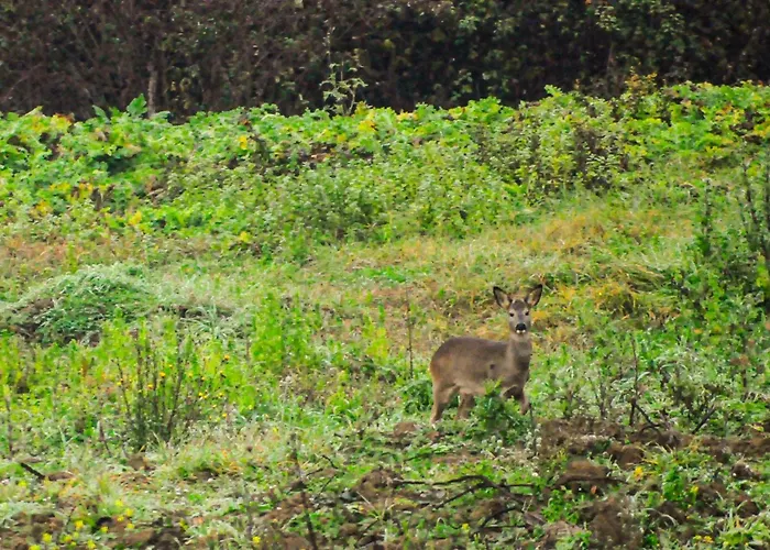 Dimora Gentile Gæstehus 3*