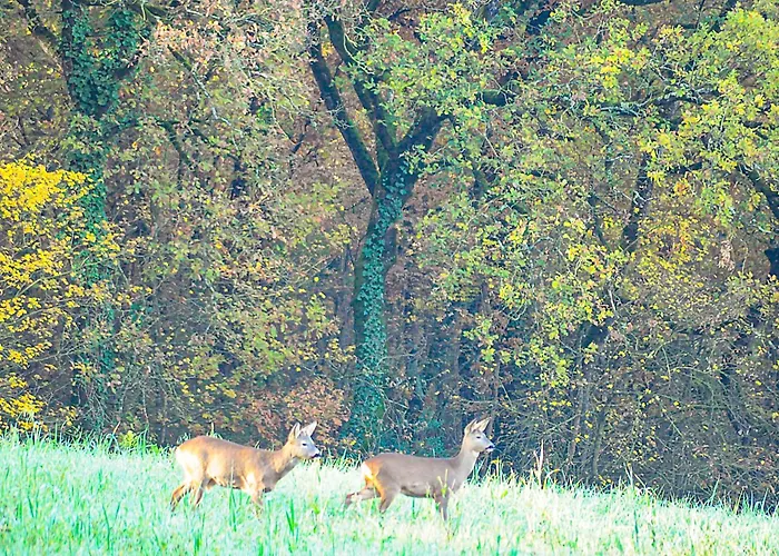 Dimora Gentile Gæstehus 3*